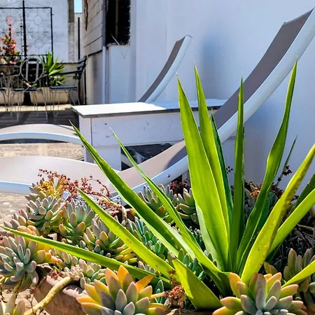 Casa Emilia بيت للعطل